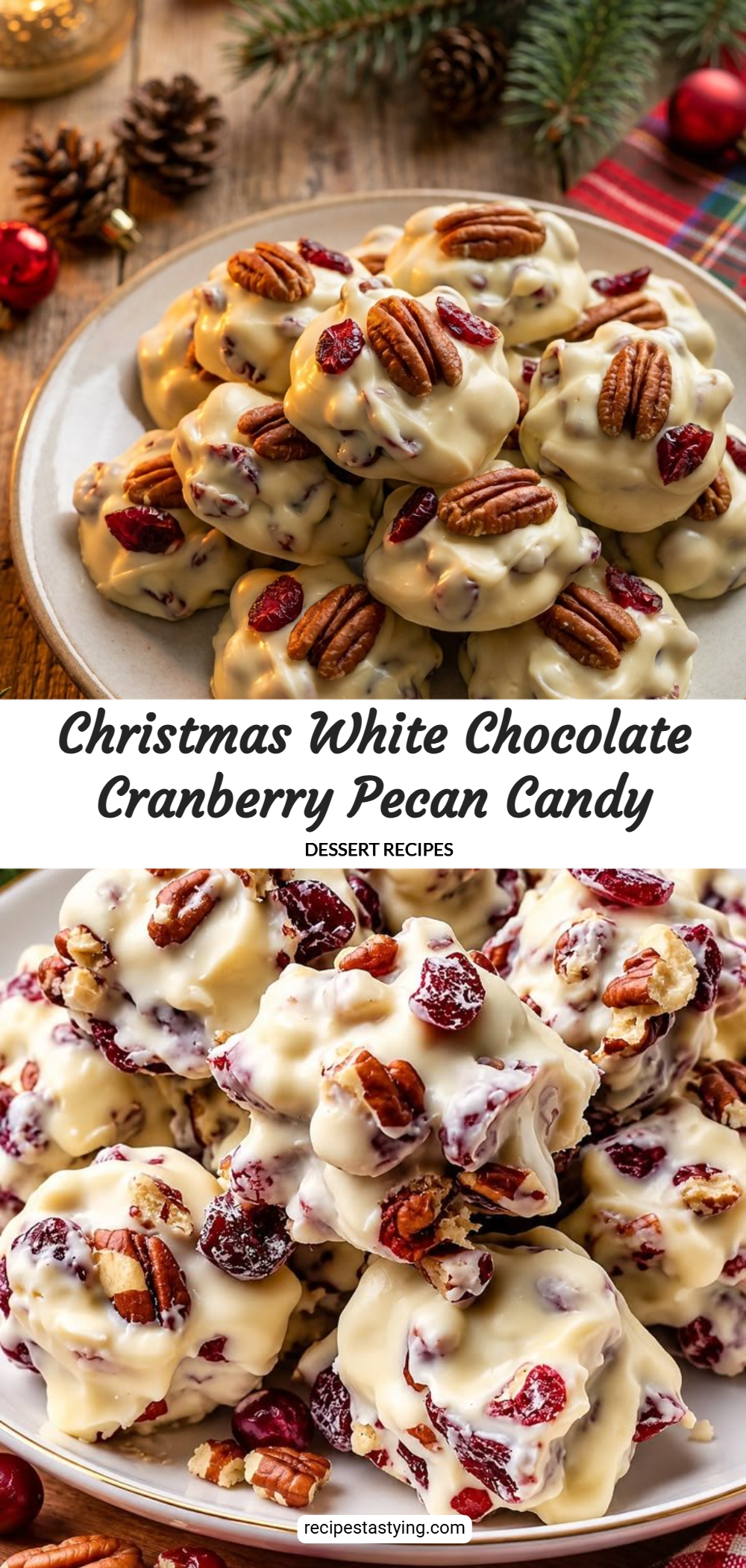 Christmas White Chocolate Cranberry Pecan Candy 7 Christmas White Chocolate Cranberry Pecan Candy